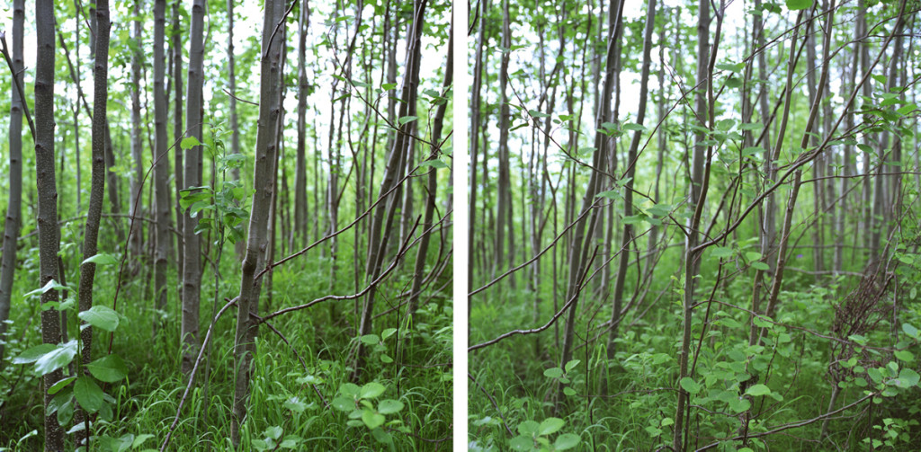 InTransitDiptych_01